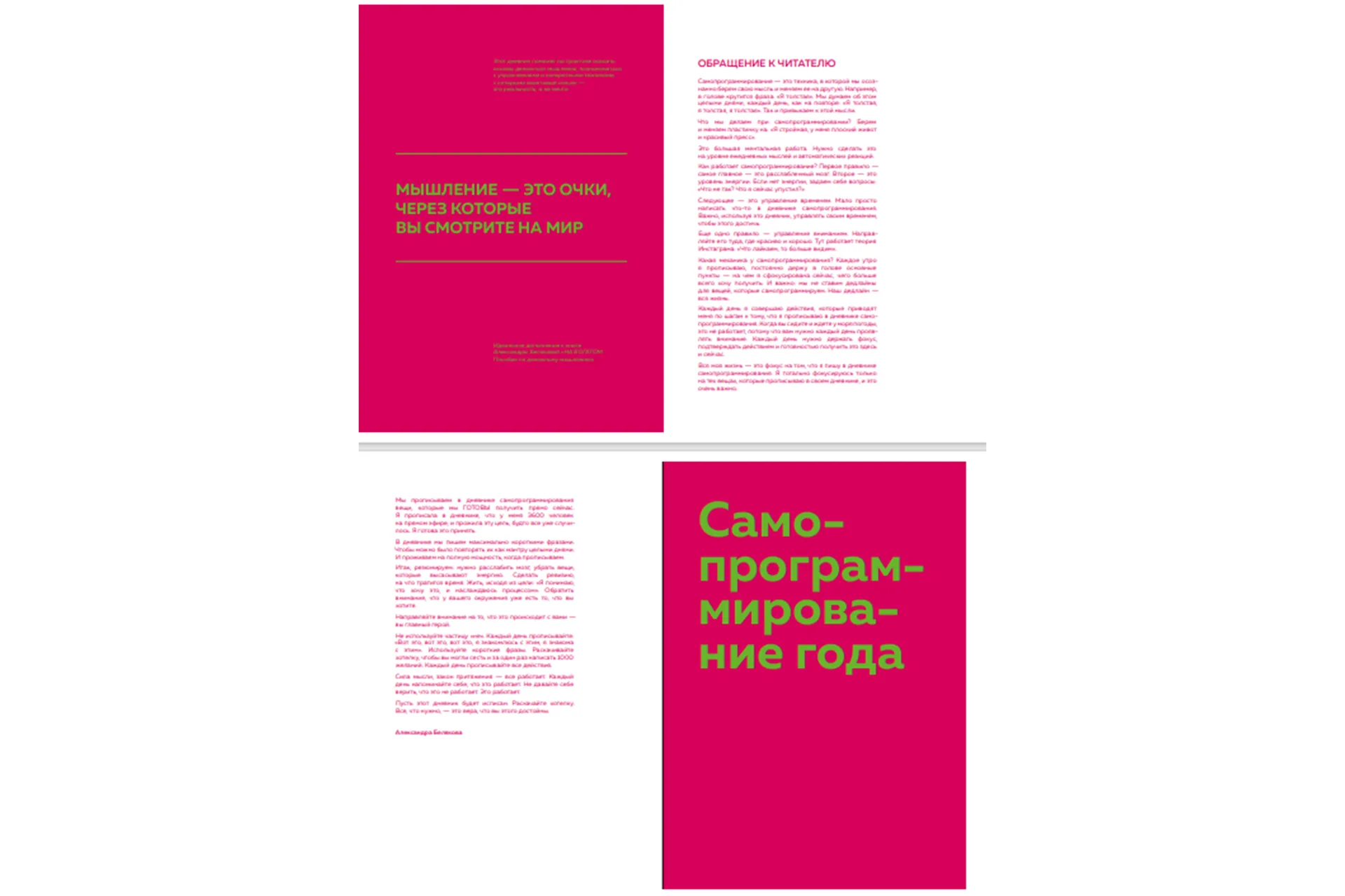 Дневник Самопрограммирования Александры Беляковой, фото 2 из 4.