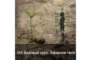 1БК Базовый курс. Эфирное тело (Ксения Меньшикова)