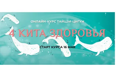 4 кита здоровья - Тайцзи-Цигун (Ли Минь)