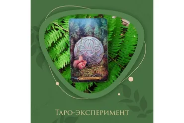 [Аналитическое Таро] Секрет успеха: финансы, работы и бизнес в картах Таро (Марина Анисина)