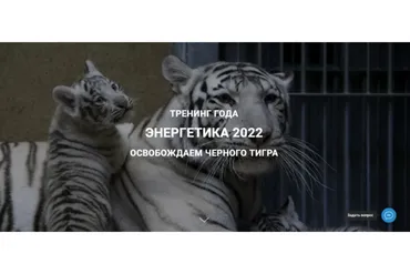 [Дао-Сфера] Энергетика 2022 освобождаем черного тигра. Тариф Платина (Дмитрий Лаптев)