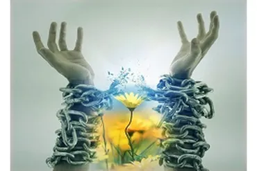 [Дао-сфера] Воспитание Ци. Семинар (Дмитрий Лаптев)