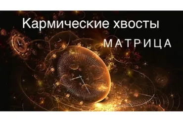 Матрица Судьбы - кармический хвост. 3 урок (Ксения Ликич)