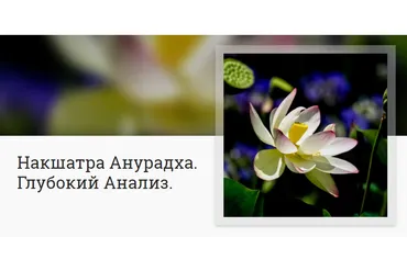 Накшатра Анурадха. Глубокий Анализ (Анна Ласточкина)