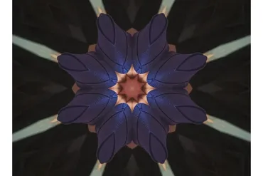 [Programmed Intention] Энергия первичной осанки и хиропрактики - цифровая мандала