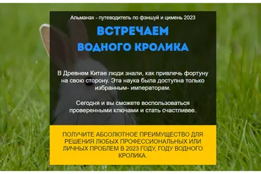 Путеводитель Фэншуй и Ци Мень. Год Водного Кролика 2023. Пакет VIP (Нинель Смолина)