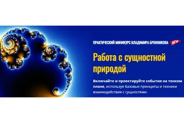Работа с сущностной природой (Владимир Бронников)