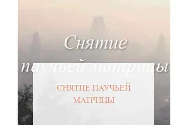 [Школа Белого Лотоса] Снятие паучьей матрицы (Анная)