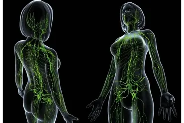 [Sigh Energy] Лечение лимфатической системы | Lymphatic System Powerful Plus +11x(Extra Strong)