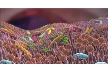 [Sigh Energy] Микробиом / Microbiome Powerful Plus +11x (Extra Strong)