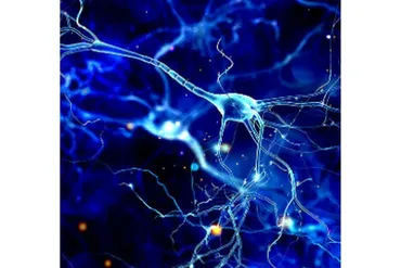 [Sigh Energy] Мощное концептуальное мышление и коммуникативные навыки плюс + 11x. Сверхсильнее