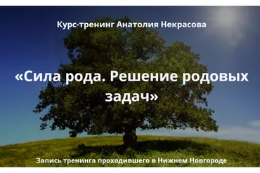Сила рода. Решение родовых задач (Анатолии Некрасов)