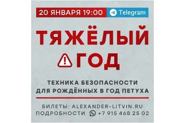 Тяжелый год. Техника безопасности для рожденных в год Петуха (Александр Литвин)