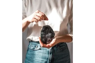 [Васту Школа] Секретные методы Коррекции в Васту (Юлия Морозова)