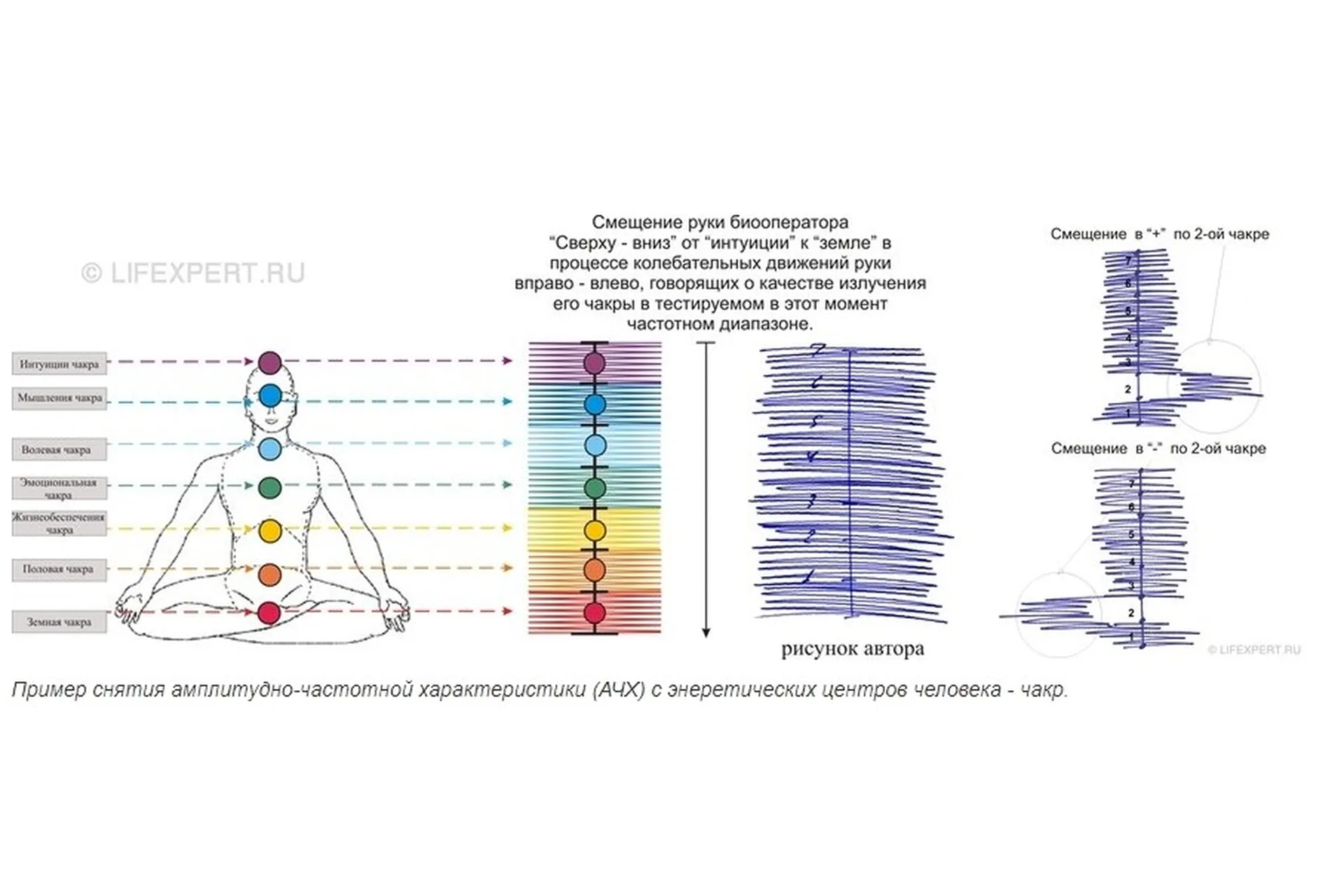 АЧХ. Практика контакта и получения информации из Тонкого мира (Елена Валерьевна, Вячеслав Губанов), фото 1 из 1.