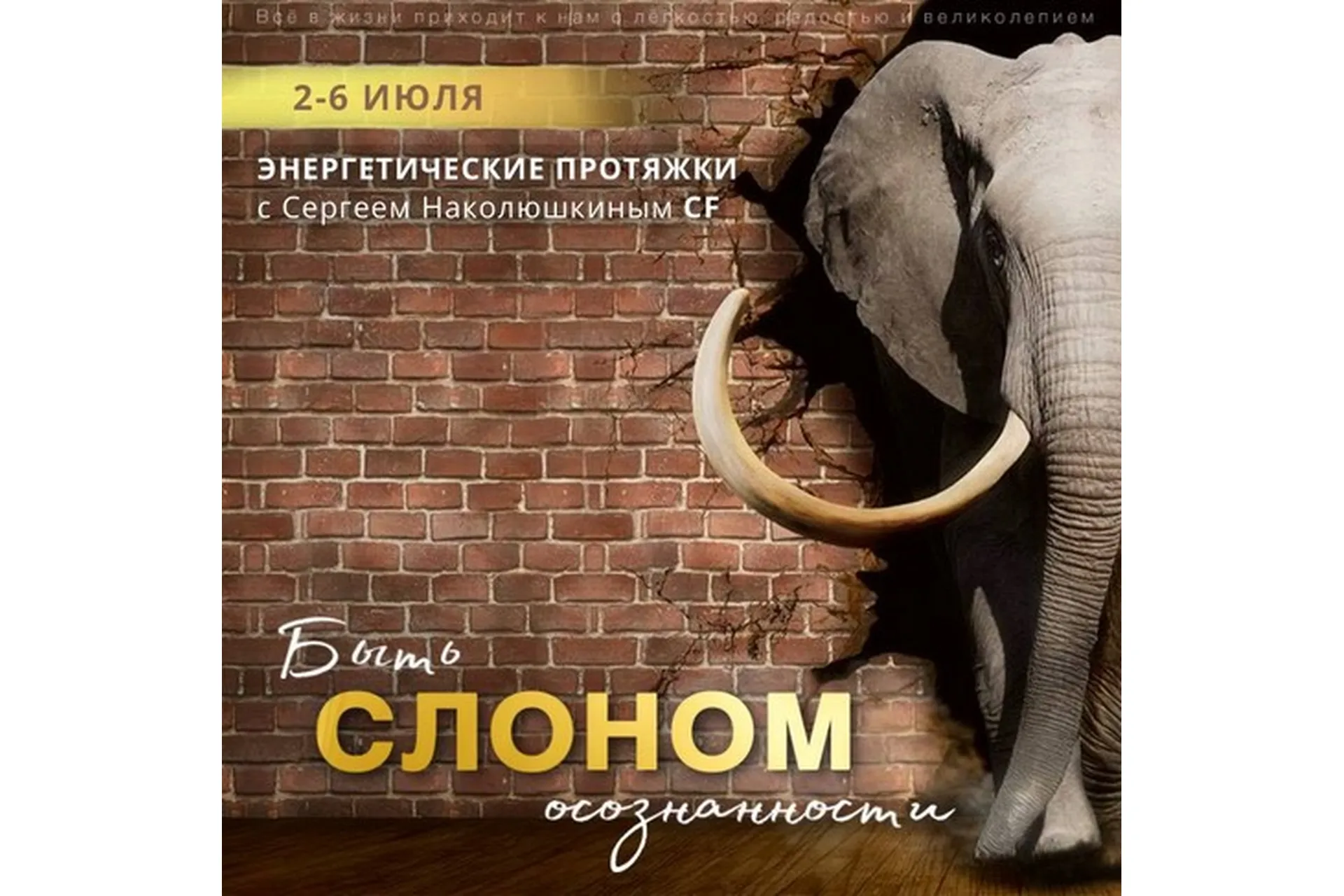 [Access] Энергетические протяжки «Быть слоном осознанности» (Сергей Наколюшкин), фото 1 из 1.
