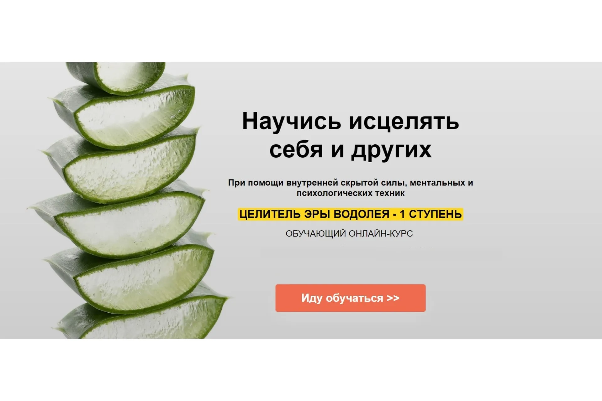 Целитель Эры Водолея - 1 ступень (Александр Ивчик), фото 1 из 1.