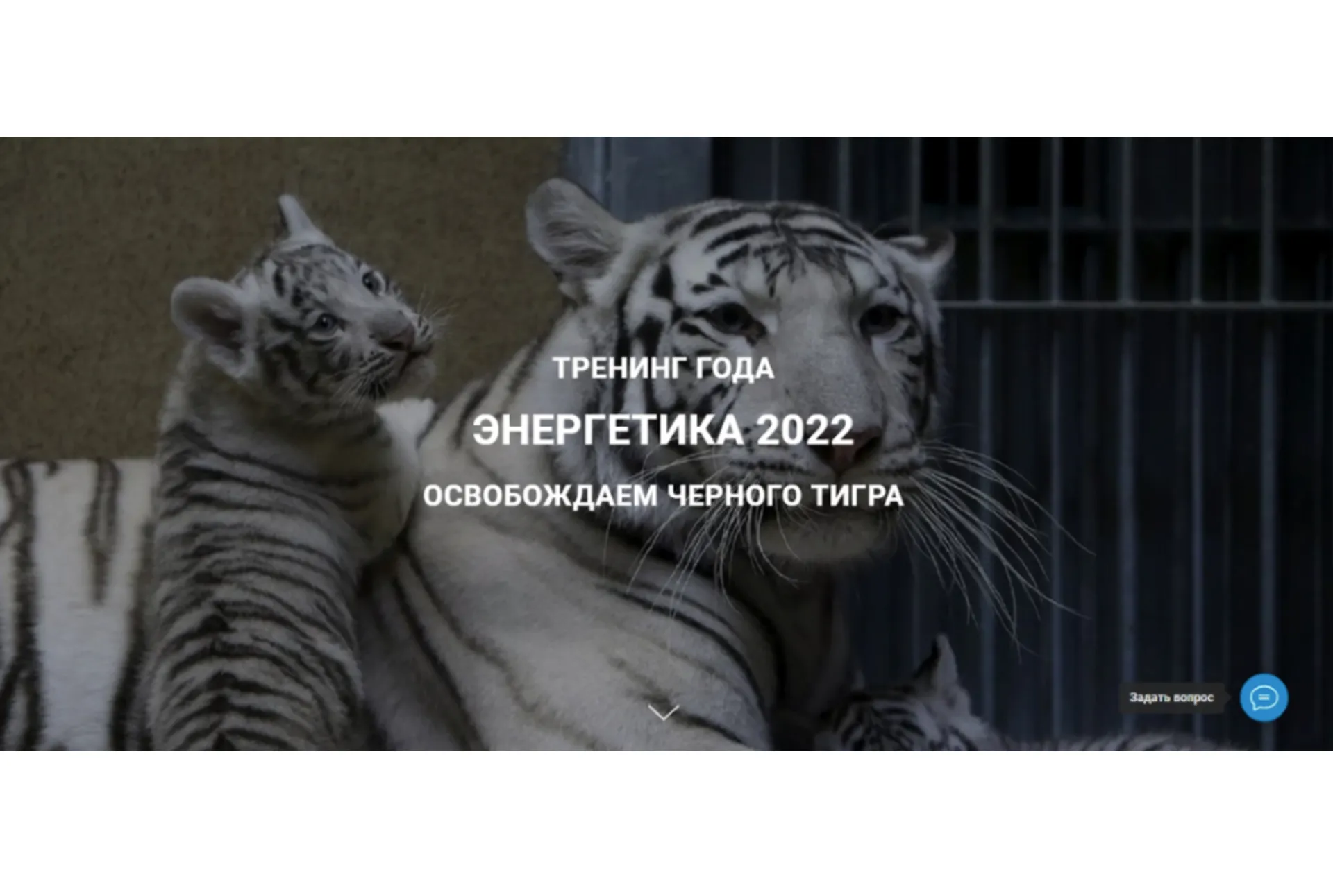 [Дао-Сфера] Энергетика 2022 освобождаем черного тигра. Тариф Платина (Дмитрий Лаптев), фото 1 из 1.