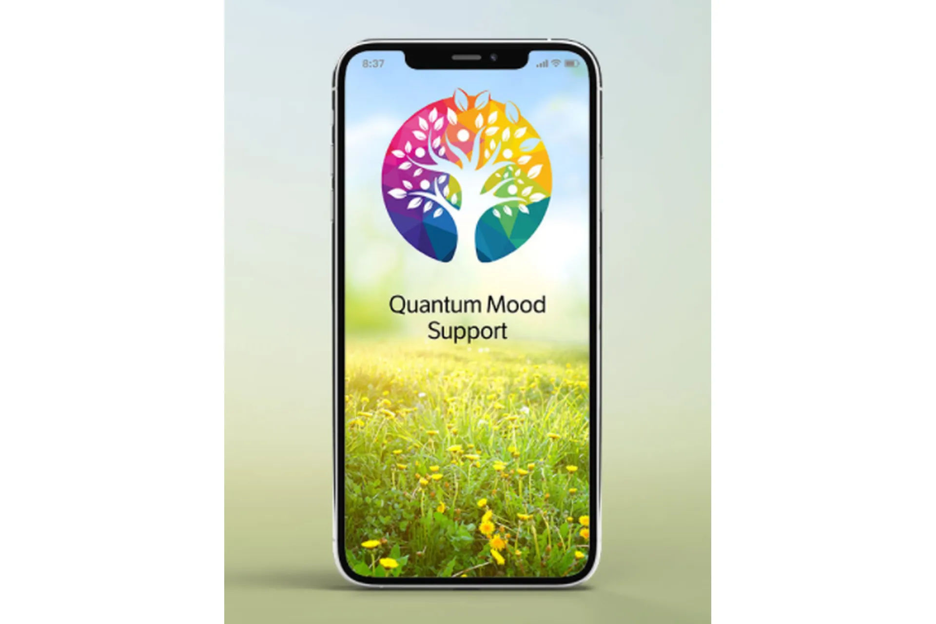 Квантовая поддержка настроения (Эрик Томпсон), фото 1 из 1.