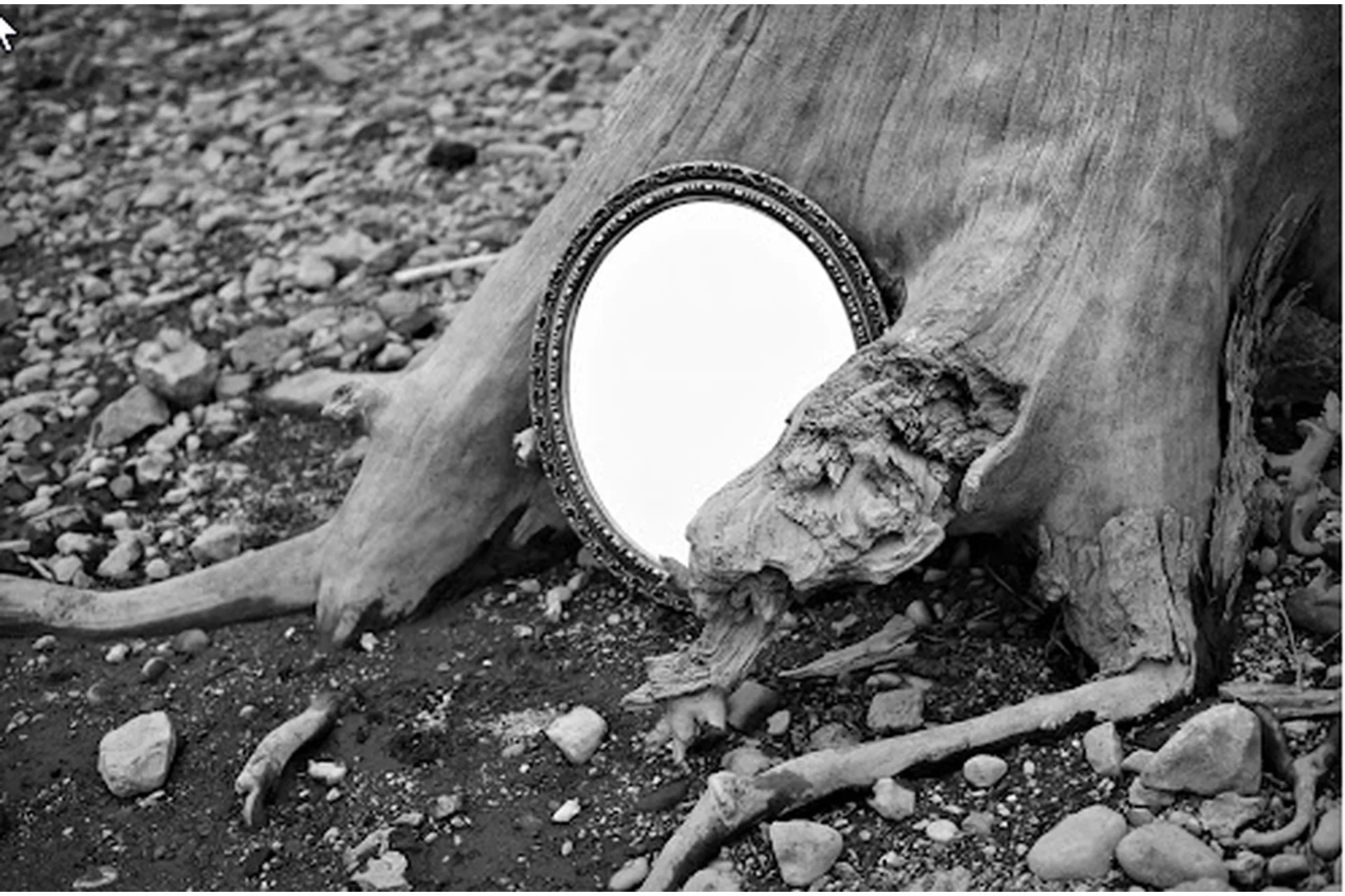 Магия зеркал (Алина Агида), фото 1 из 1.