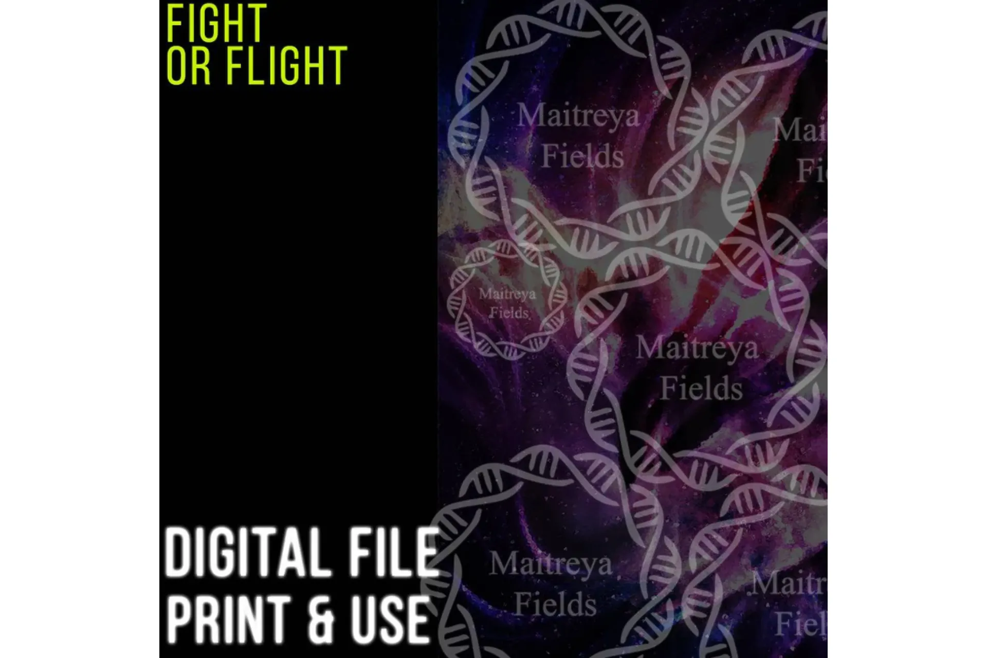 [Maitreya Fields] DM: Fight or Flight, фото 1 из 1.