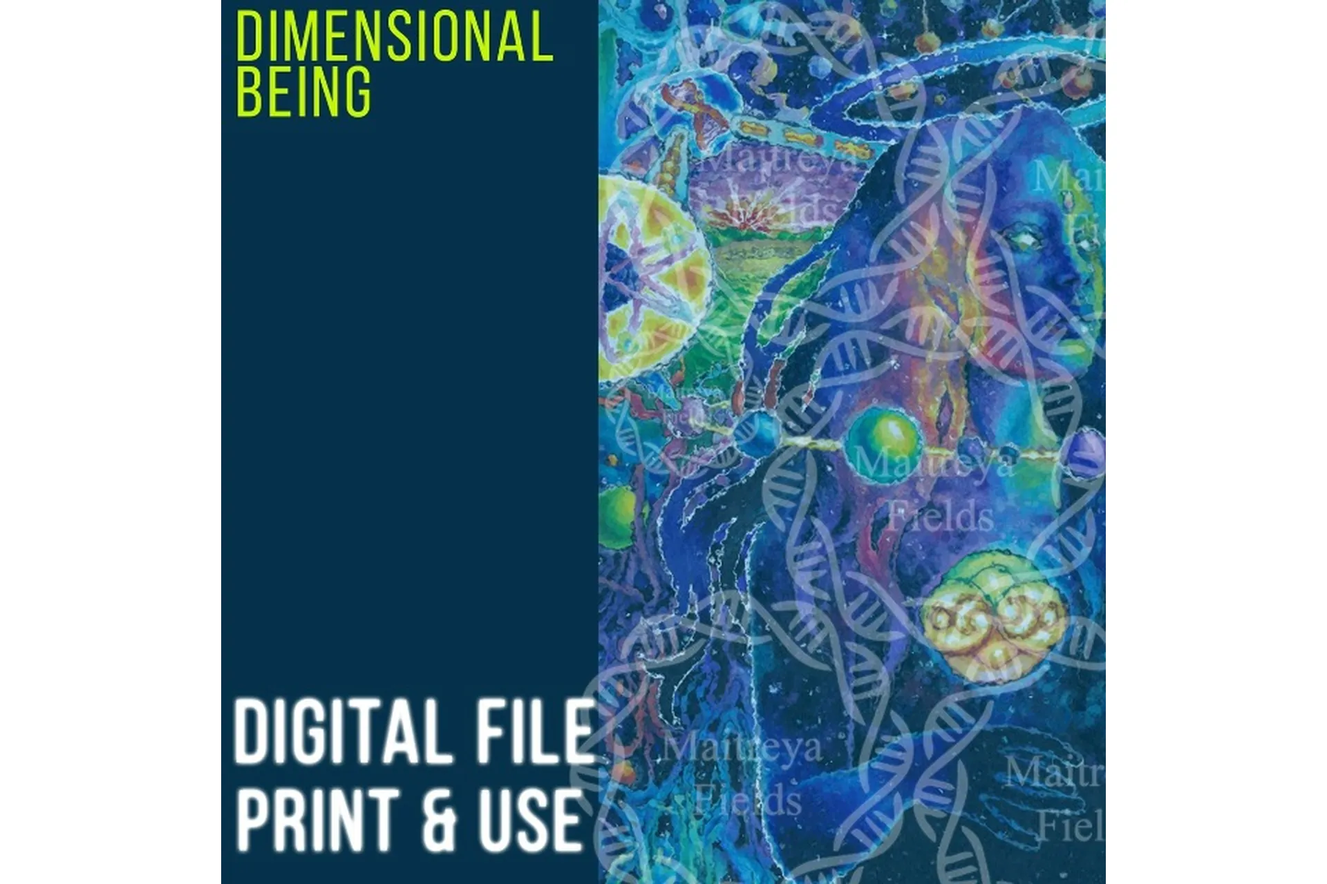 [Maitreya Fields] DM: Пространственное существо | DM: Dimensional Being, фото 1 из 1.