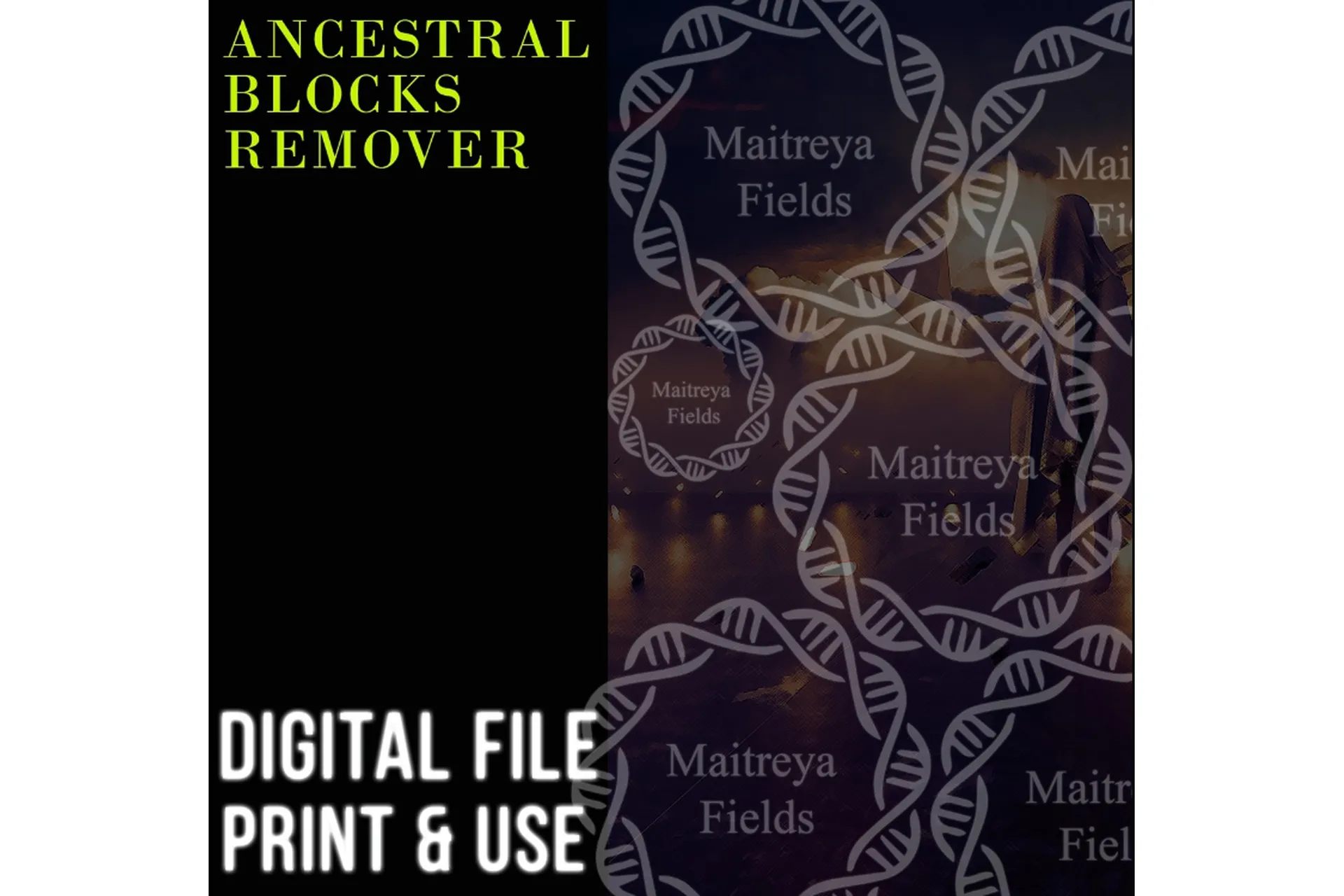 [Maitreya Fields] Мандала (DM: SBR) Часть 1: Предки и ДНК, фото 1 из 1.