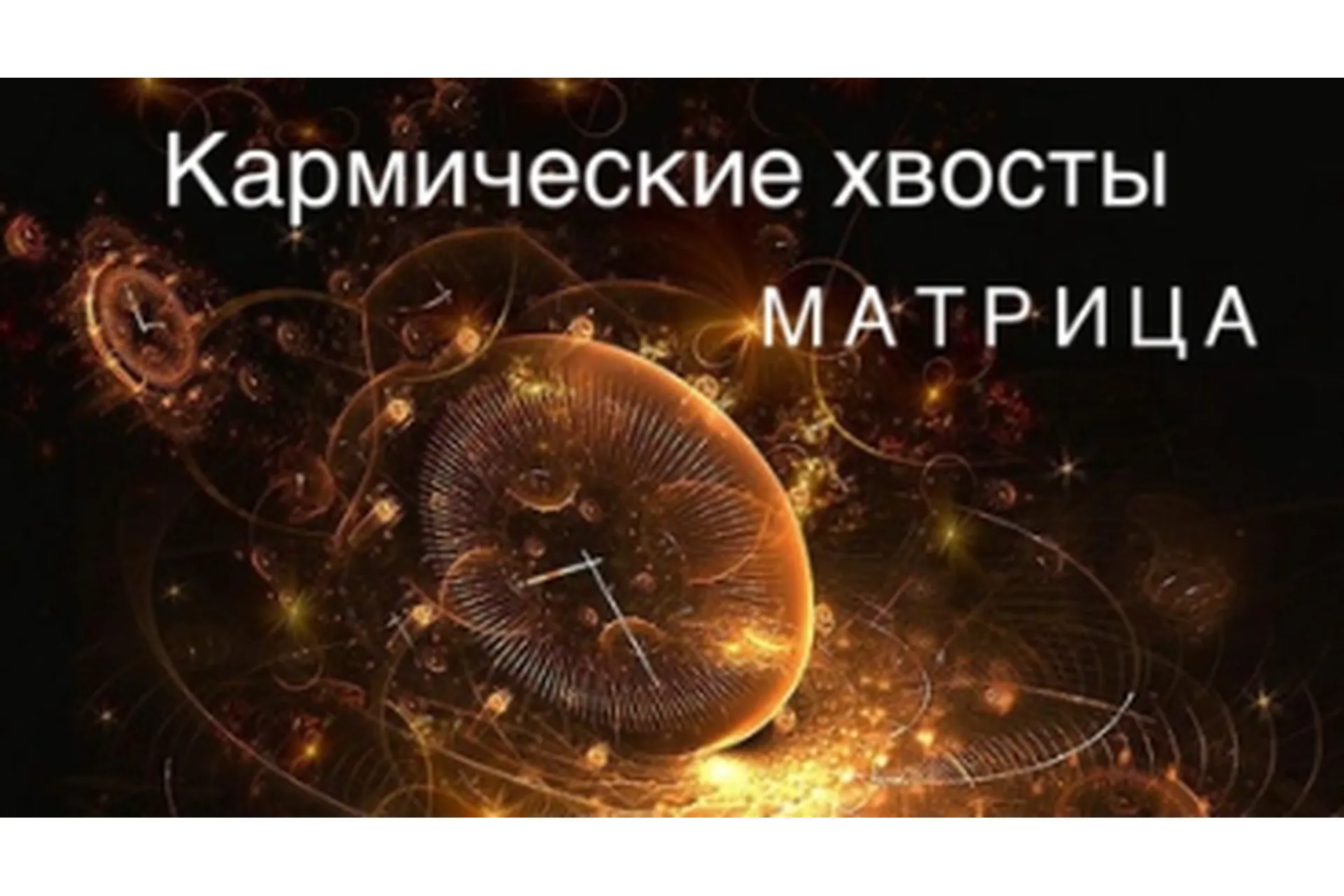 Матрица Судьбы - кармический хвост. 3 урок (Ксения Ликич), фото 1 из 1.