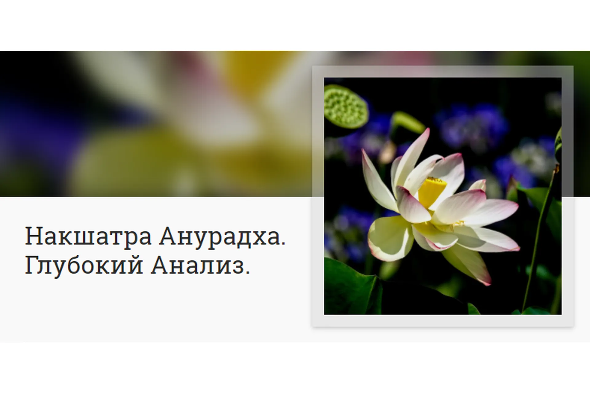 Накшатра Анурадха. Глубокий Анализ (Анна Ласточкина), фото 1 из 1.