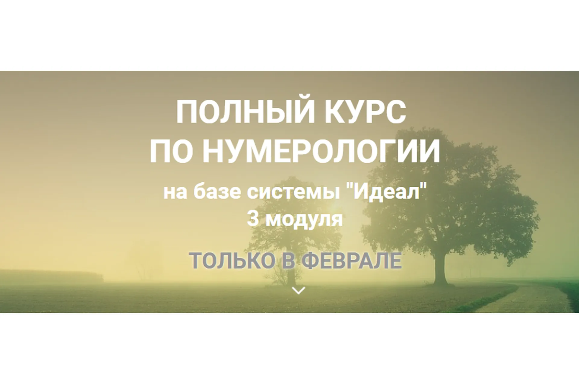 Полный курс по нумерологии. 3 модуля (Светлана Белова), фото 1 из 1.