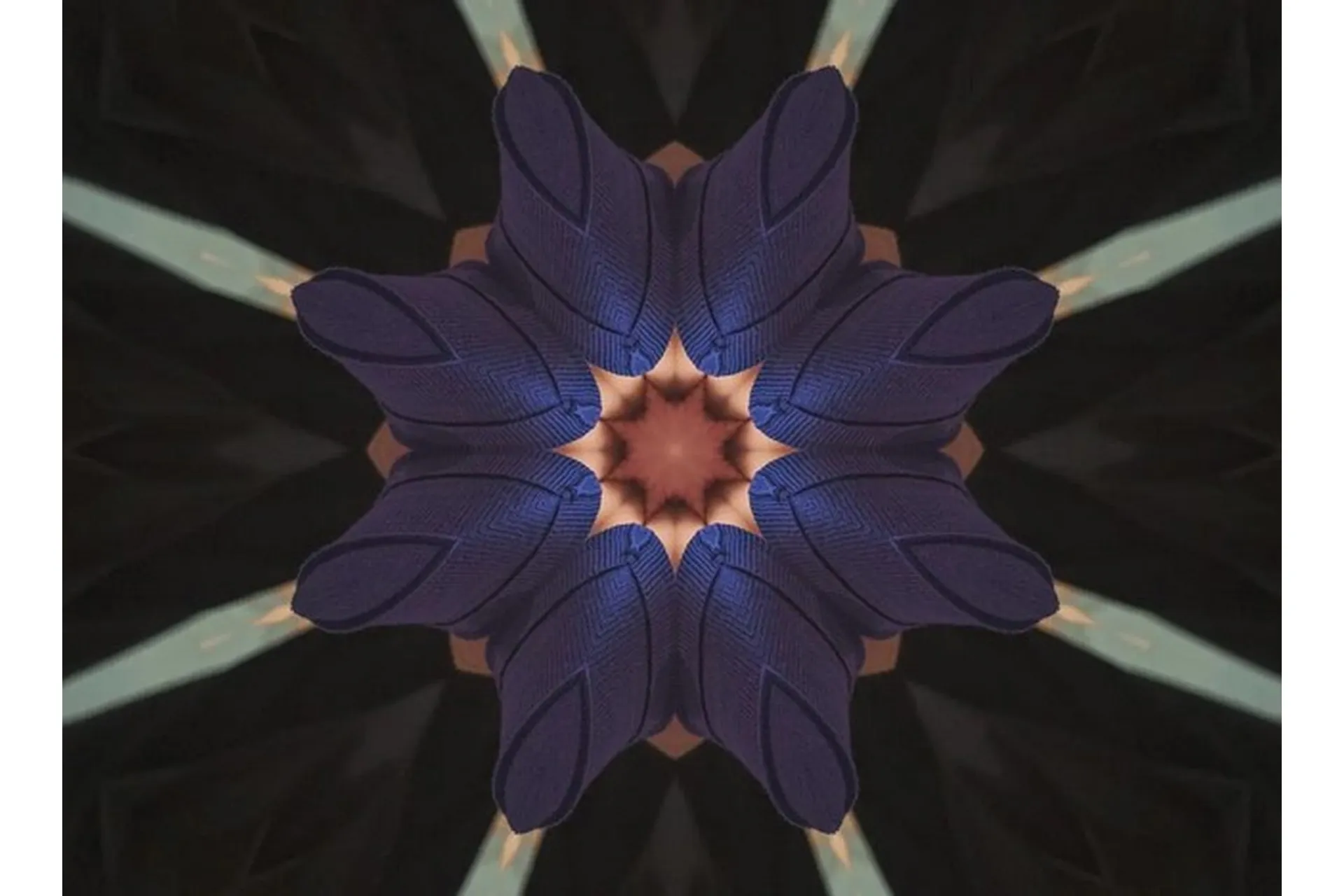 [Programmed Intention] Энергия первичной осанки и хиропрактики - цифровая мандала, фото 1 из 1.