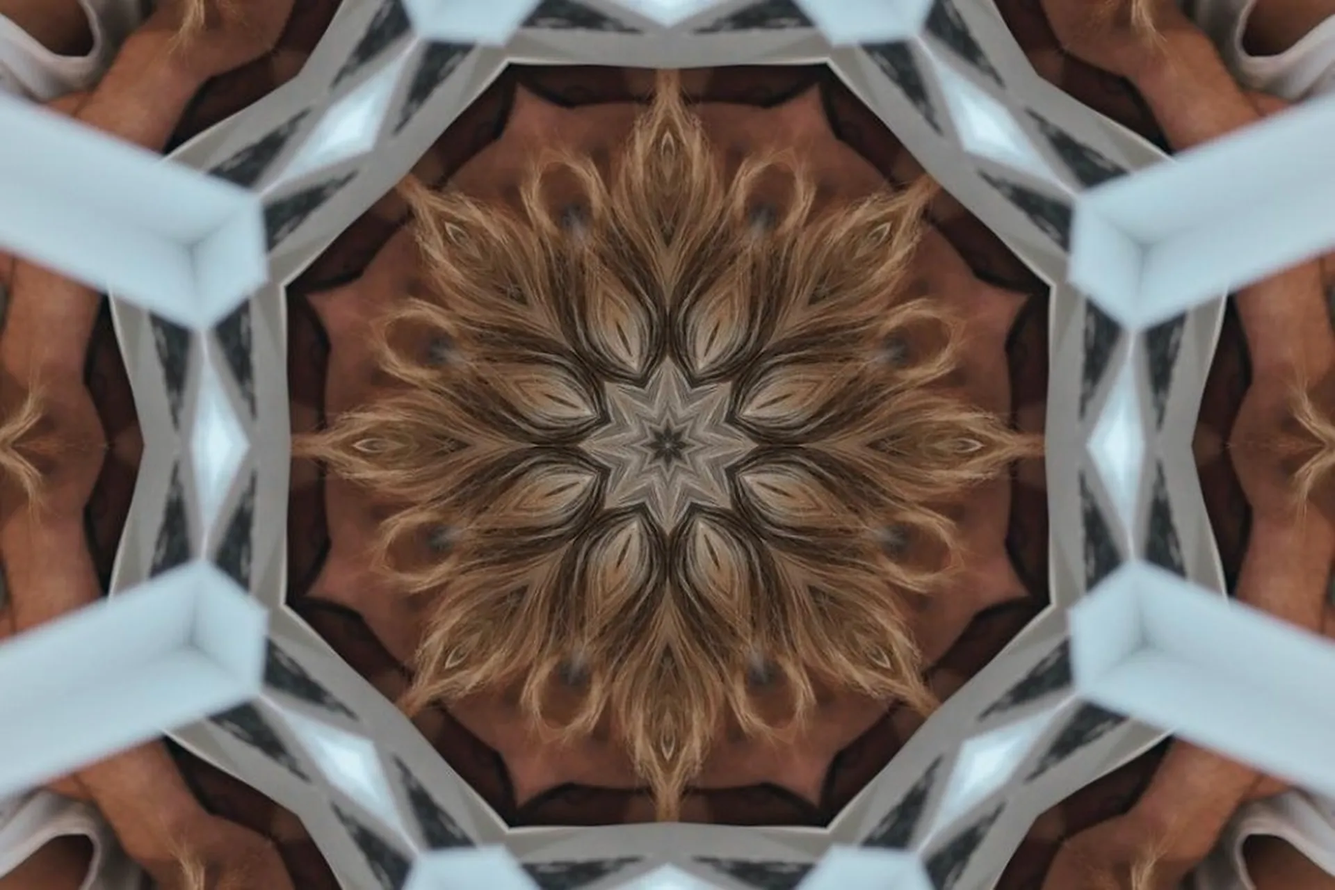 [Programmed Intention] Идеальные Здоровые Зубы и Десны - Цифровая Мандала (Дополнительная сила), фото 1 из 1.