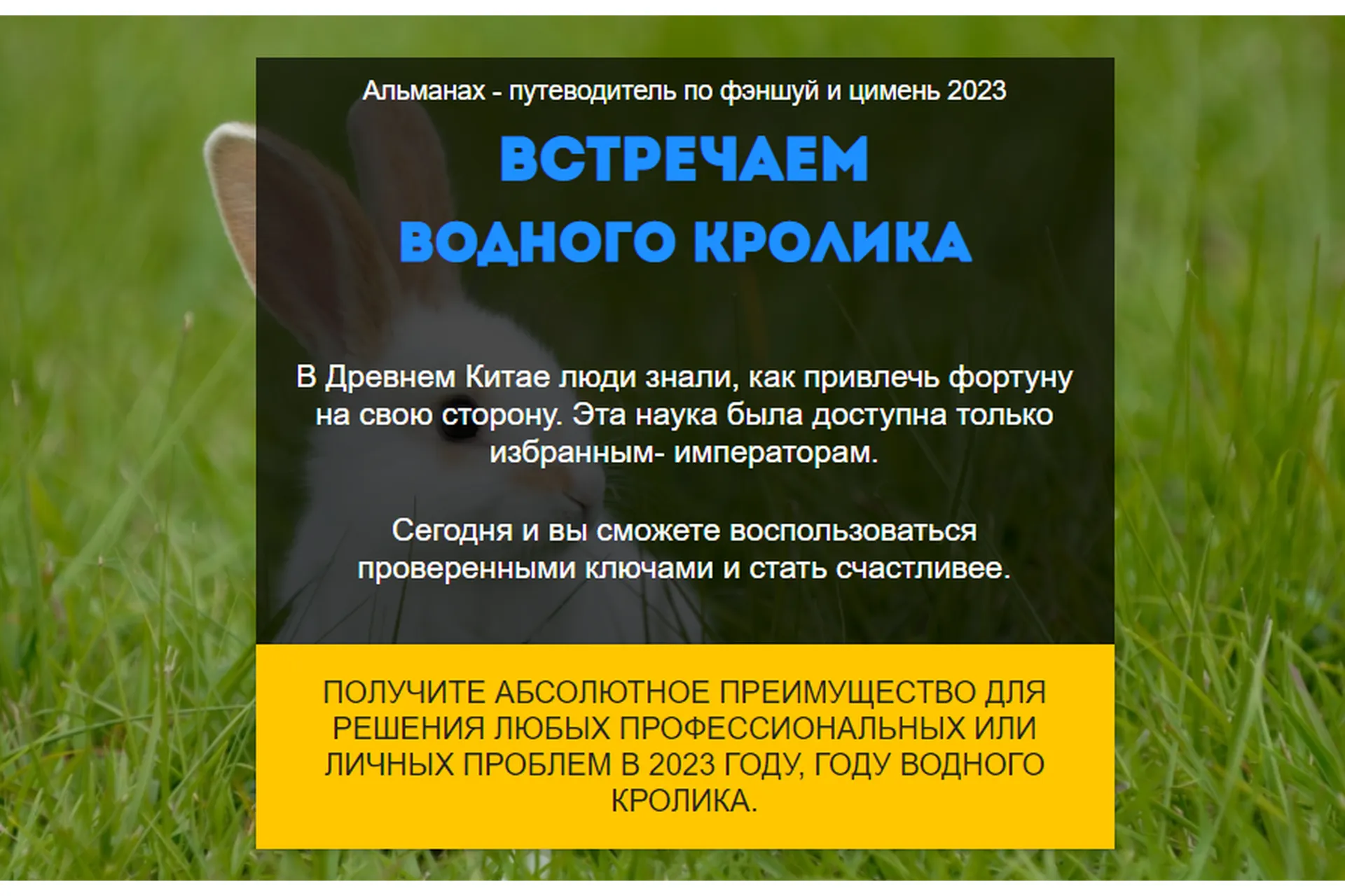 Путеводитель Фэншуй и Ци Мень. Год Водного Кролика 2023. Пакет VIP (Нинель Смолина), фото 1 из 1.