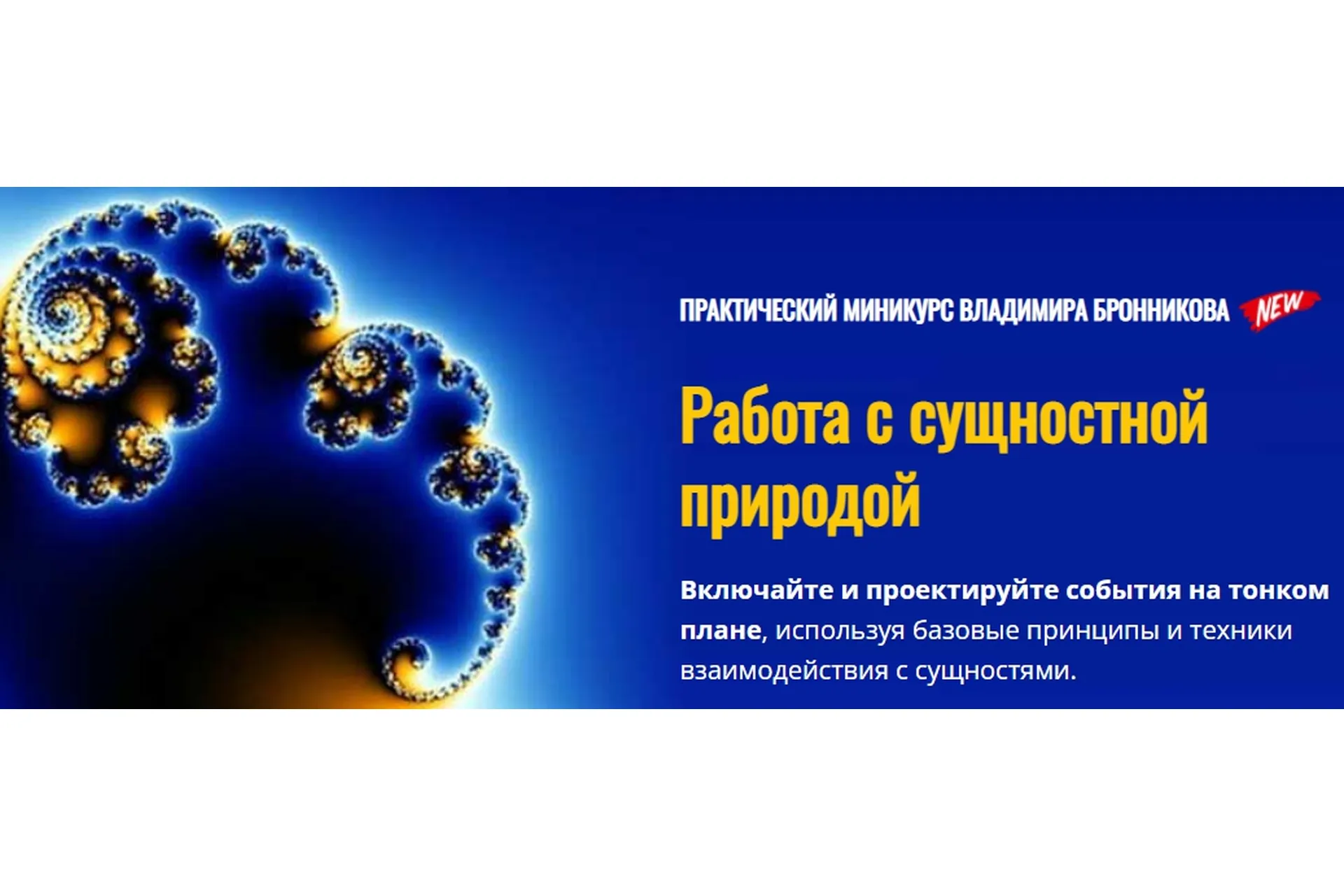Работа с сущностной природой (Владимир Бронников), фото 1 из 1.