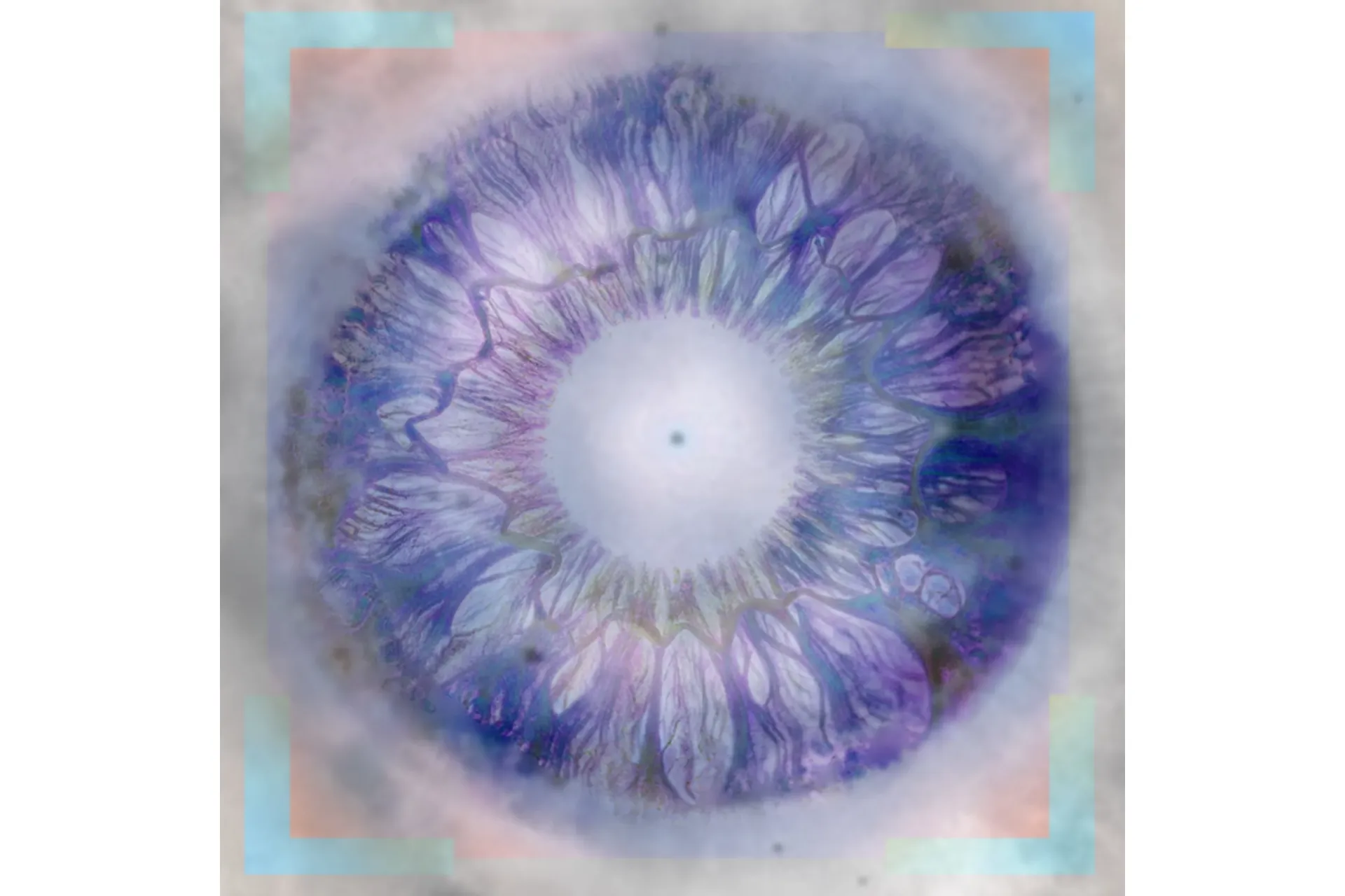 [Sapien Medicine] Видение ясности  I Vision of Clarity, фото 1 из 1.