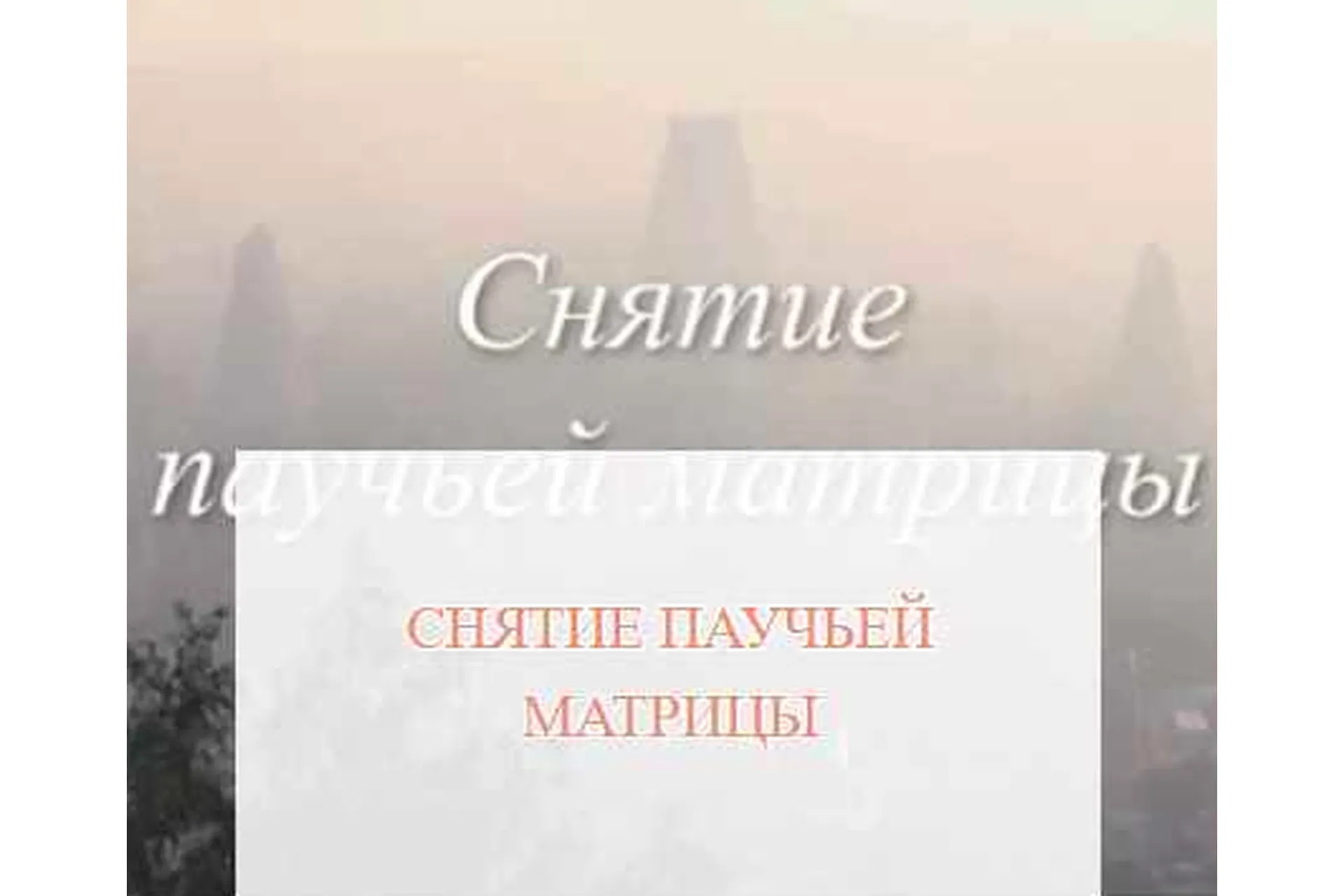 [Школа Белого Лотоса] Снятие паучьей матрицы (Анная), фото 1 из 1.