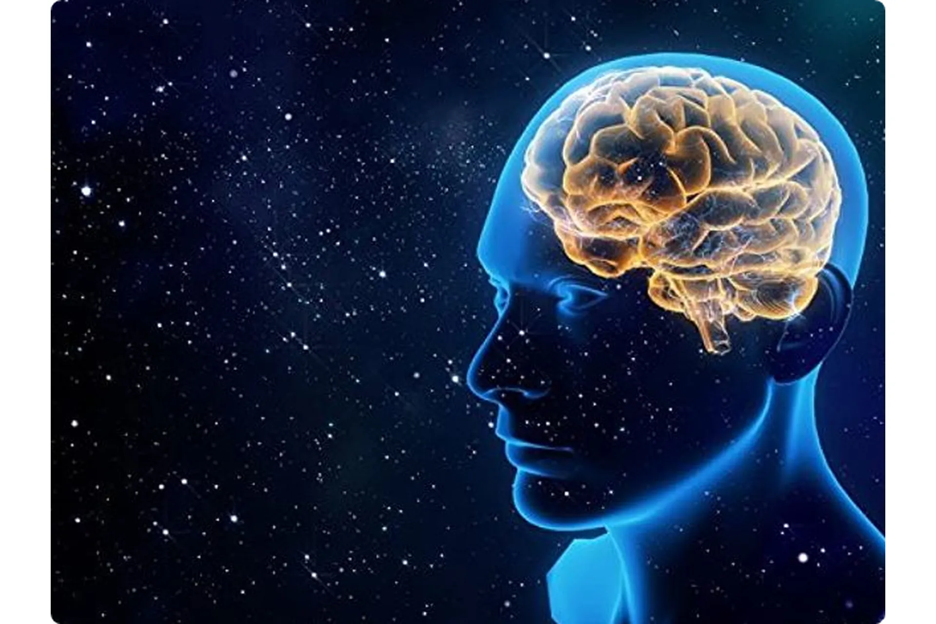 [Sigh Energy] Исцеление мозга 2.0 | Mind Healing 2.0 Powerful Plus +11x (Extra Strong), фото 1 из 1.