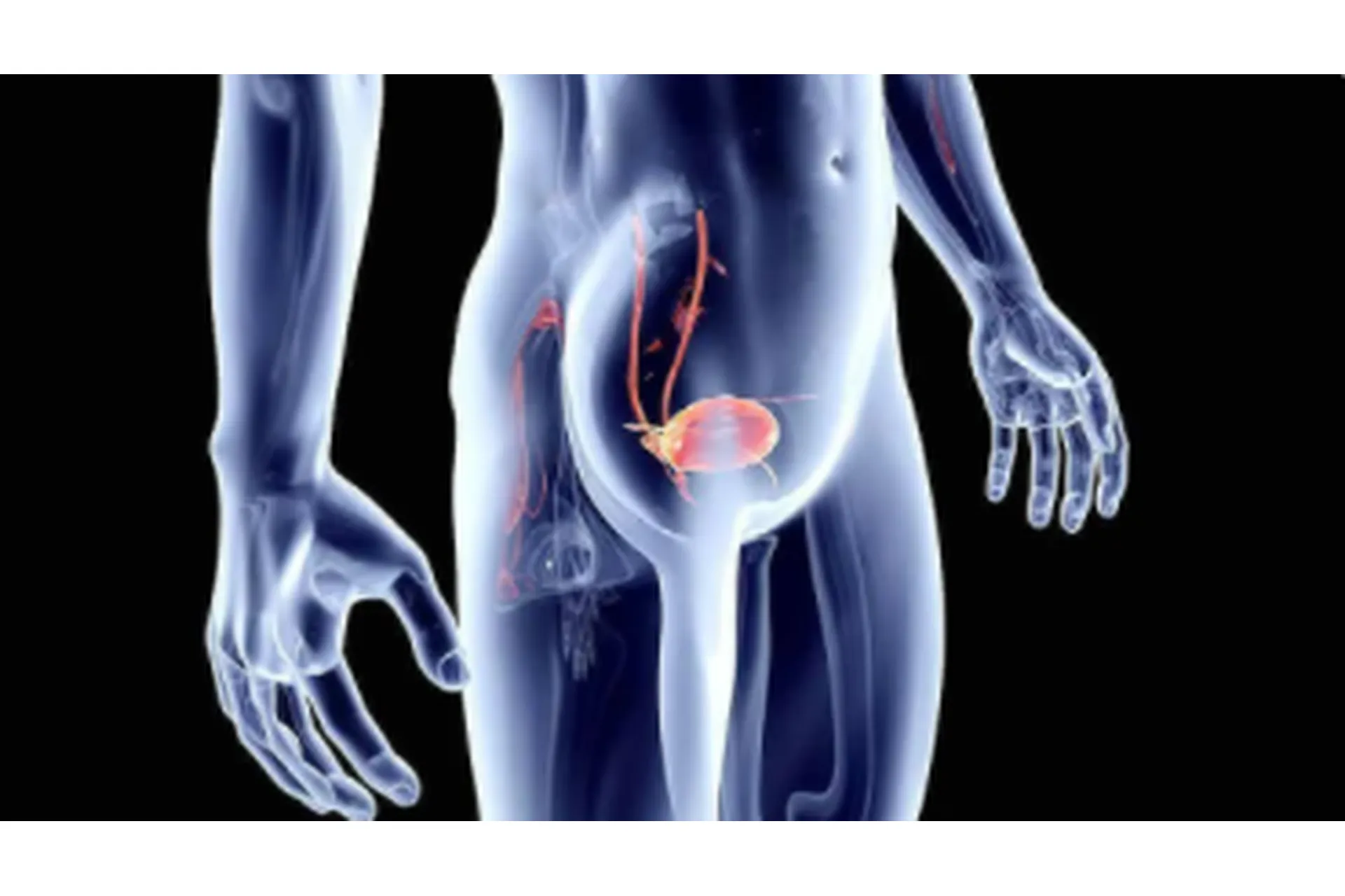 [Sigh Energy] Восстановление мочевого пузыря | UBR Powerful Plus +11x(Extra Strong), фото 1 из 1.