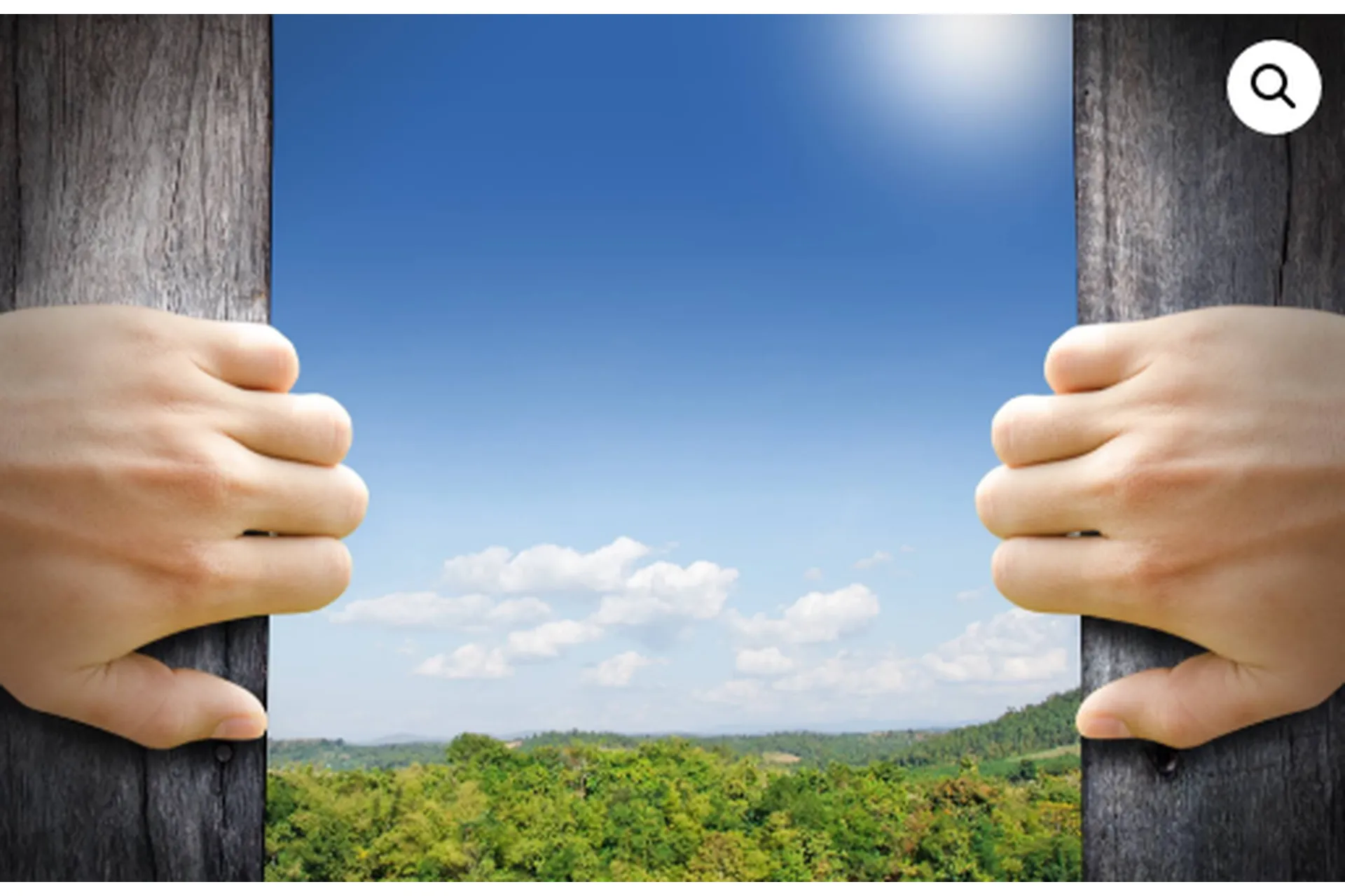 Стирая границы (Екатерина Гарцева), фото 1 из 1.