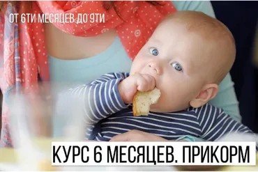 6 месяцев. Прикорм. От 6ти месяцев до 9ти (Марина Ступина)
