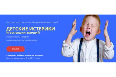 Детские истерики и вспышки эмоций. Стандарт (Екатерина Бурмистрова)