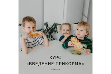 [LaMama] Введение прикорма (Марина Кучина)