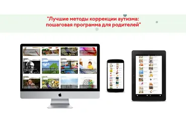 Лучшие методы коррекции аутизма: пошаговая программа для родителей. Пакет Стандарт (Ирина Воронова)