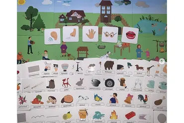 Пять чувств (Эллина Шпаковская)