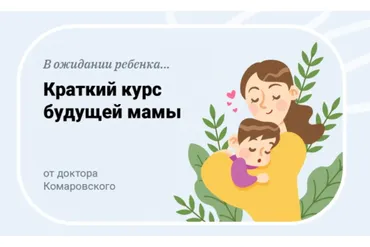 [Журнал доктора Комаровского] В ожидании ребенка. Краткий курс будущей мамы (Евгений Комаровский)