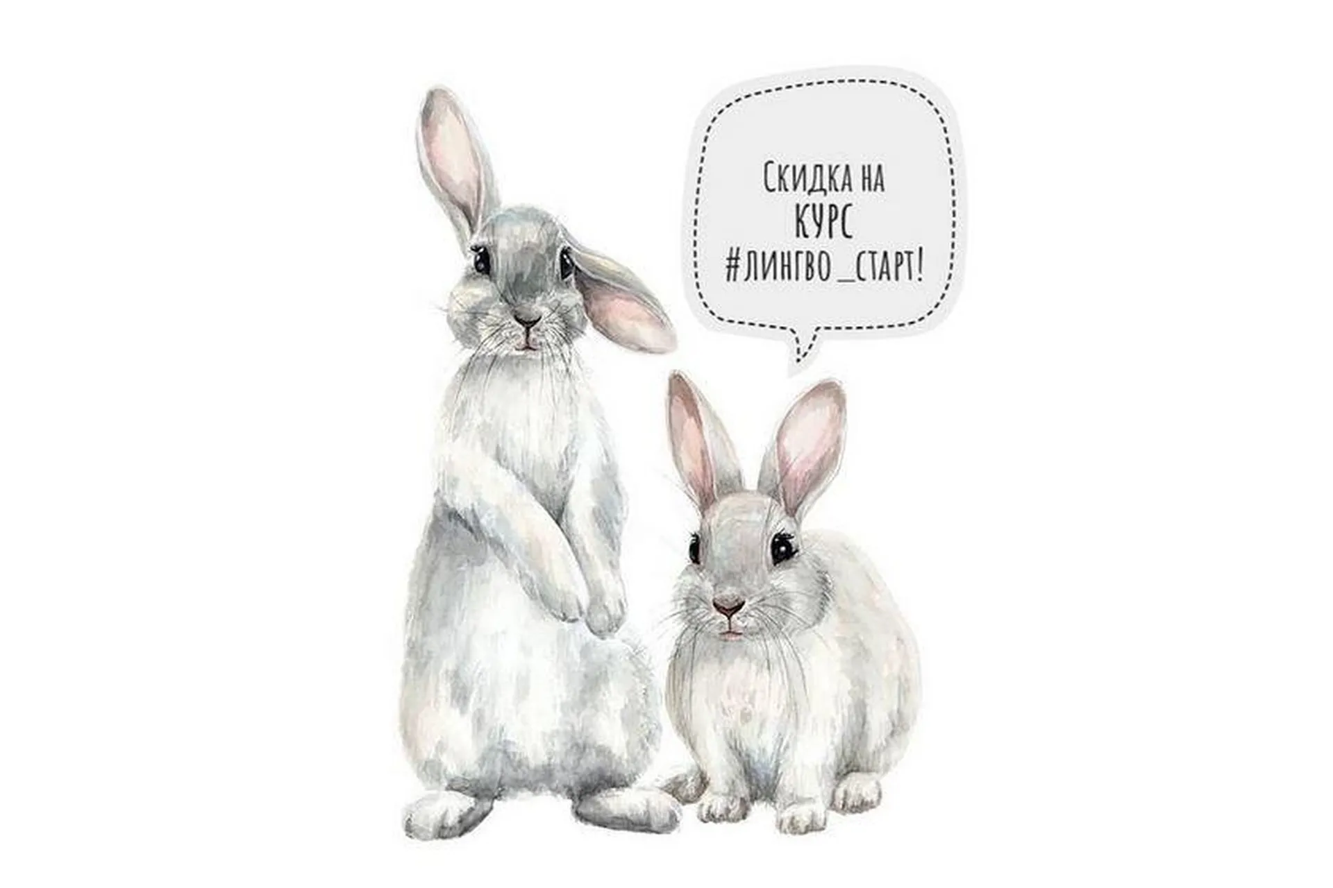 [Honey bunny club] Курс Лингво Старт. Французский и Испанский (Анна Русс), фото 1 из 1.