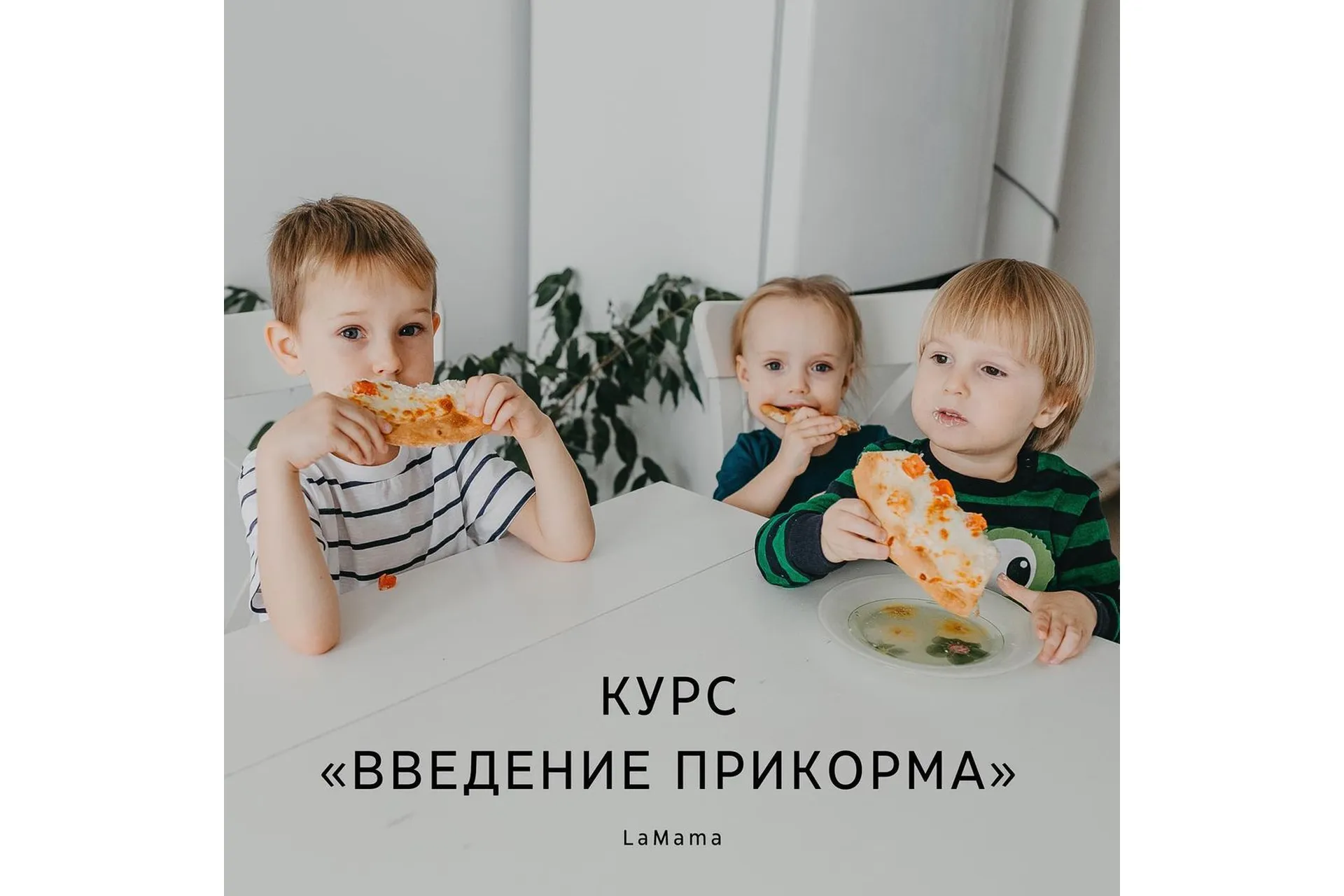 [LaMama] Введение прикорма (Марина Кучина), фото 1 из 1.
