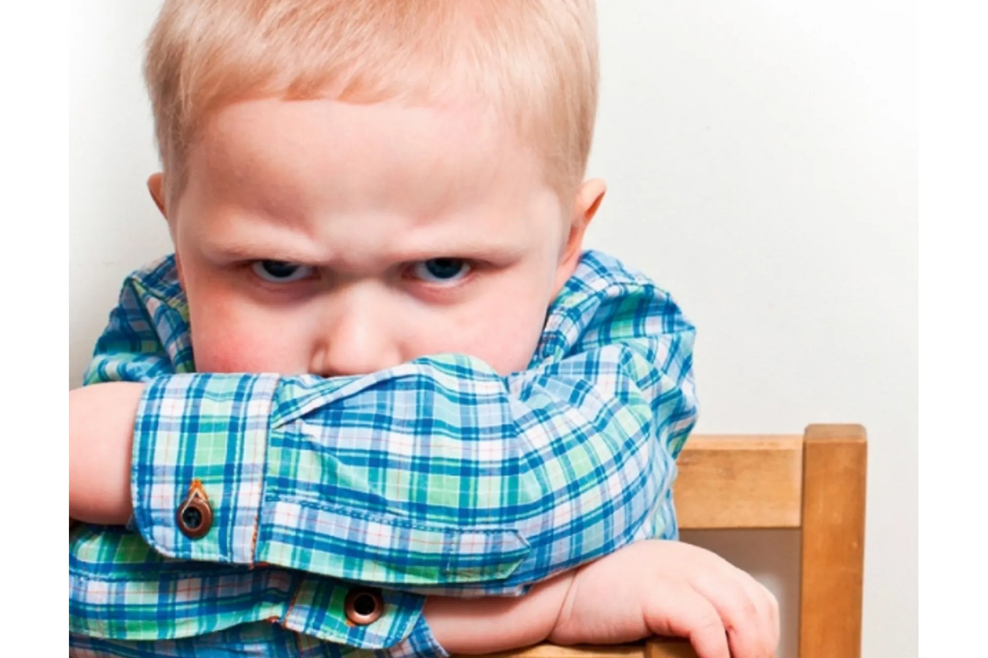 [Мамин дом] Истерики, агрессия и непослушание ребёнка. Как справляться? (Галина Елтонская), фото 1 из 1.