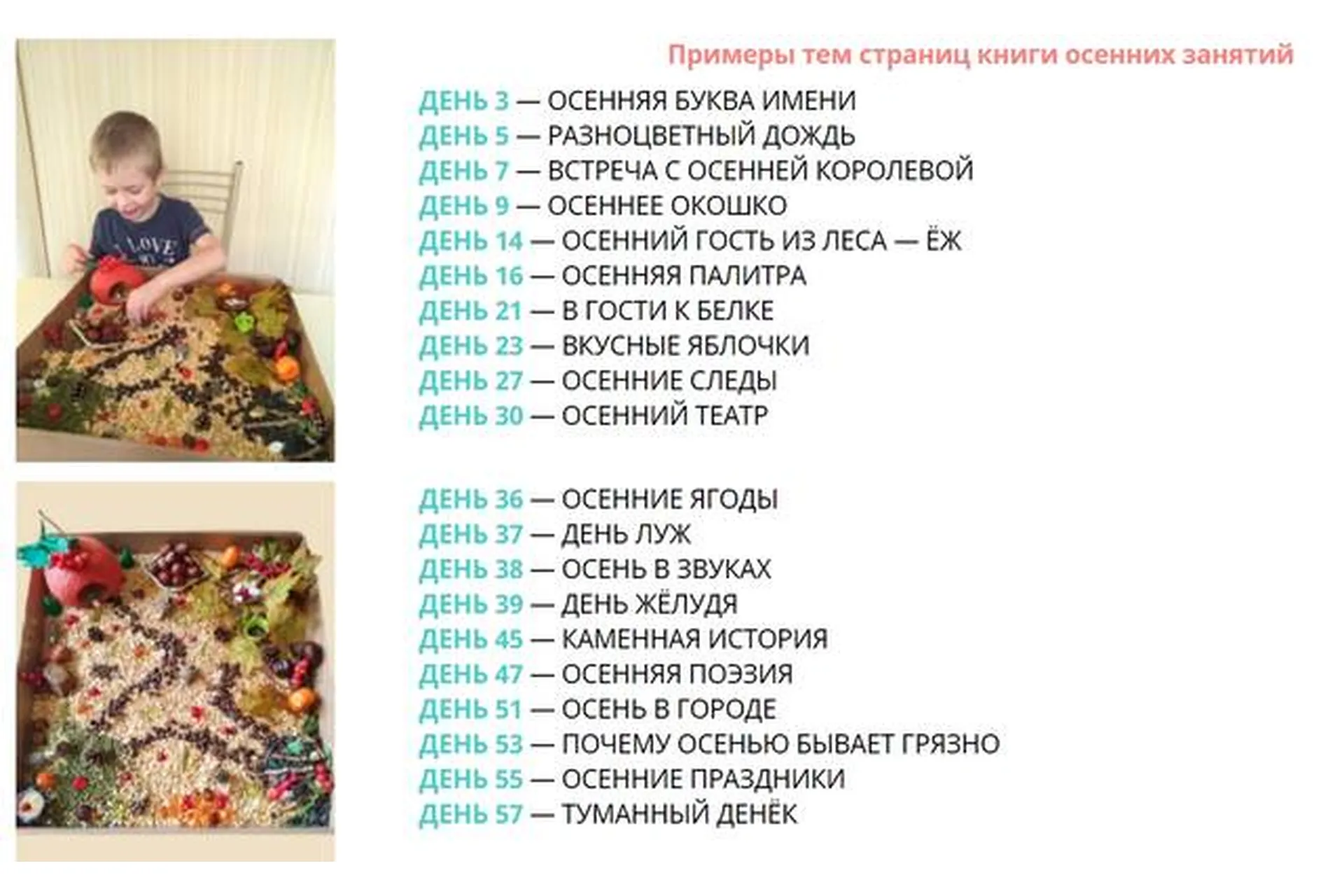 [Mind mama] Осенняя книга занятий с ребёнком. Тариф «60 дней» (Олеся Полубоярова), фото 1 из 1.