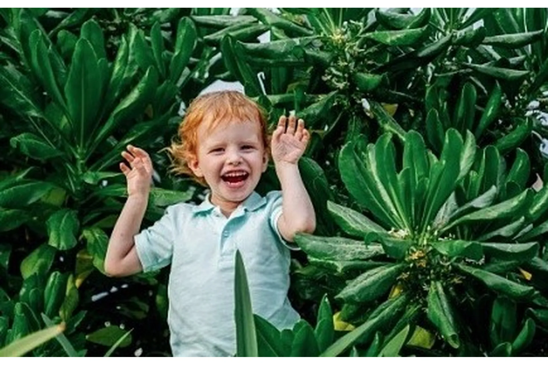 [PRO материнство] PRO детский сад (Евгения Старкова), фото 1 из 1.